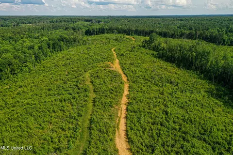 0002 Garrett Creek Loop, Pontotoc, MS 38863 photo 36
