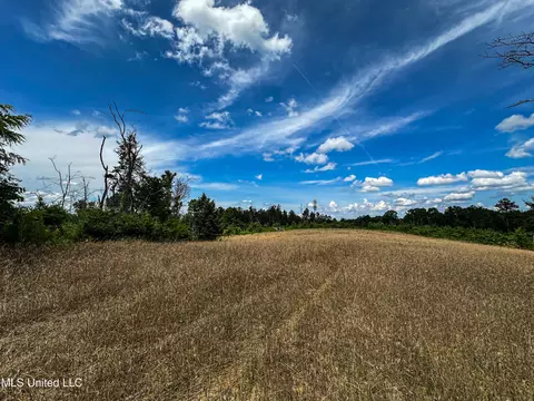 0002 Garrett Creek Loop, Pontotoc, MS 38863 photo 10