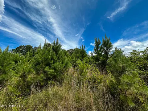 0002 Garrett Creek Loop, Pontotoc, MS 38863 photo 24