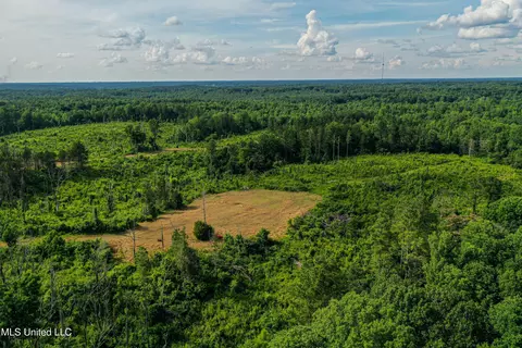 0002 Garrett Creek Loop, Pontotoc, MS 38863 photo 9