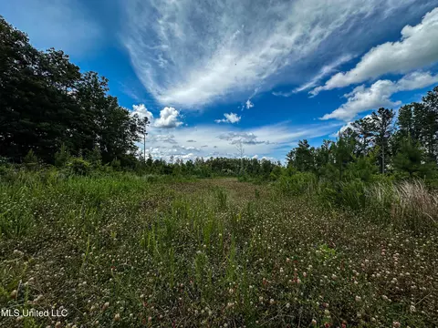 0002 Garrett Creek Loop, Pontotoc, MS 38863 photo 28