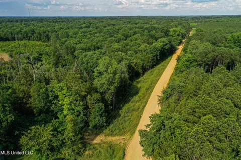0002 Garrett Creek Loop, Pontotoc, MS 38863 photo 43