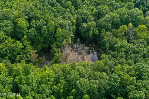 0002 Garrett Creek Loop, Pontotoc, MS 38863 photo 31