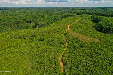 0002 Garrett Creek Loop, Pontotoc, MS 38863 photo 35