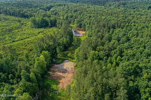 0002 Garrett Creek Loop, Pontotoc, MS 38863 photo 29
