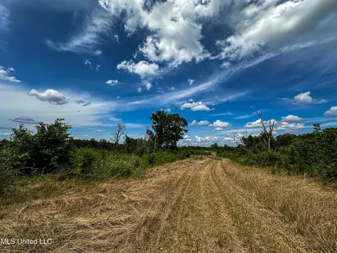 0002 Garrett Creek Loop, Pontotoc, MS 38863 photo 12