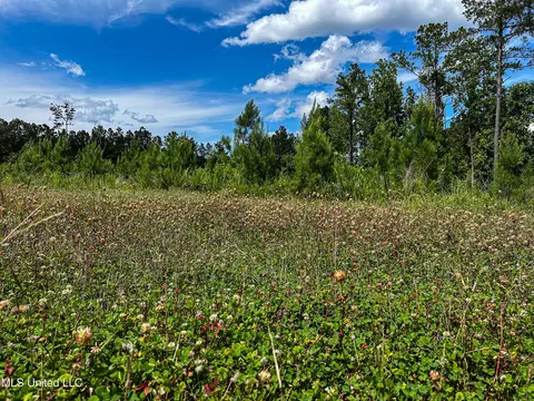 0002 Garrett Creek Loop, Pontotoc, MS 38863 photo 30