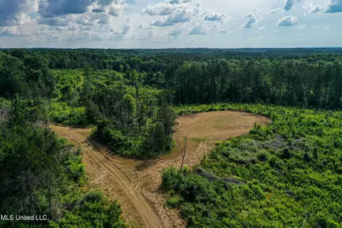 0002 Garrett Creek Loop, Pontotoc, MS 38863 photo 13