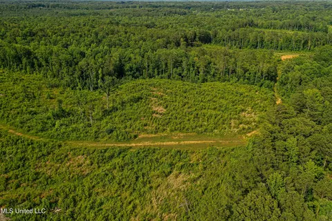0002 Garrett Creek Loop, Pontotoc, MS 38863 photo 38