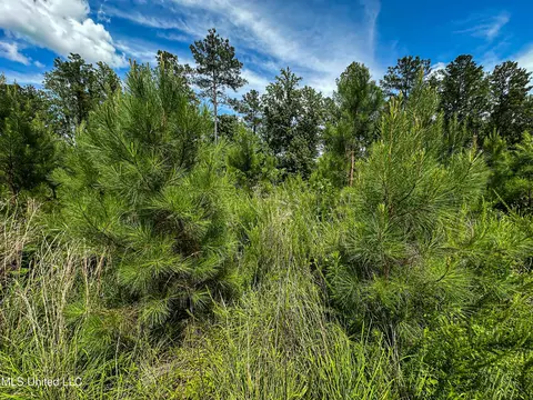 0002 Garrett Creek Loop, Pontotoc, MS 38863 photo 5