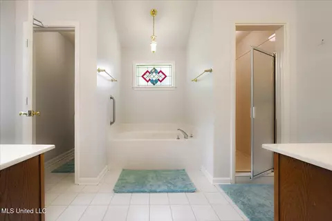 Bath - 10470 Hunters Walk, Hernando, MS 38632 photo 3 of 3
