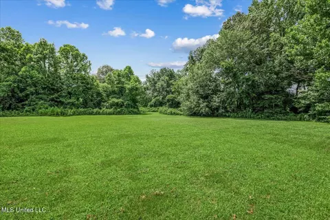 Exterior - 10470 Hunters Walk, Hernando, MS 38632 photo 9 of 10