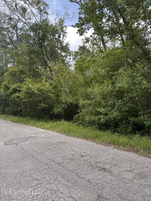 Martin Street, Moss Point, MS 39563 photo 3
