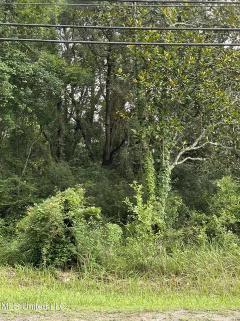Martin Street, Moss Point, MS 39563 photo 7
