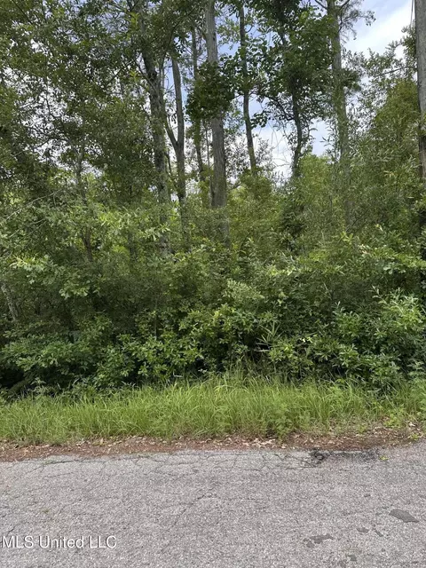 Martin Street, Moss Point, MS 39563 photo 2
