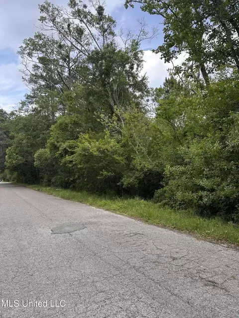 Martin Street, Moss Point, MS 39563 photo 4