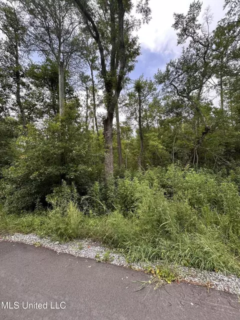 Martin Street, Moss Point, MS 39563 photo 5
