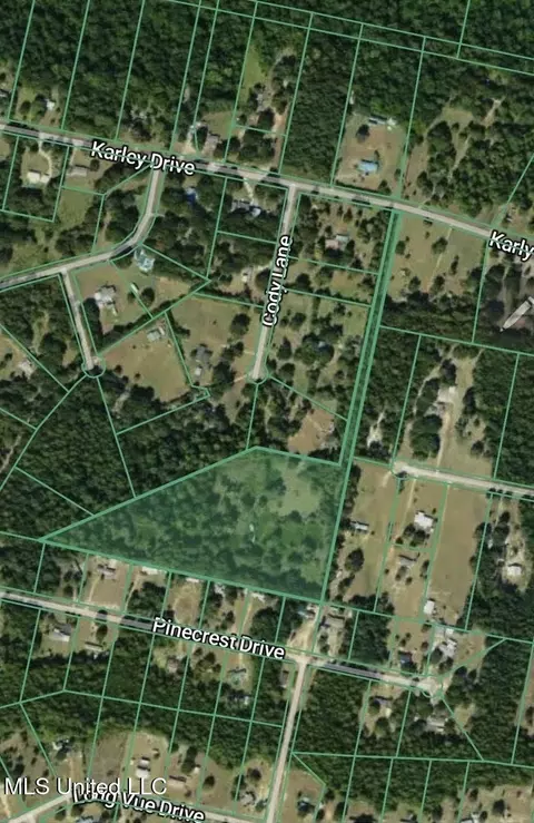 25215 Karly Dr, Picayune, MS 39466 photo 1
