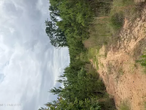 Dividing Ridge Road, Gore Springs, MS 38929