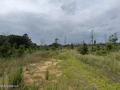Off Highway 333, Grenada, MS 38901 photo 10