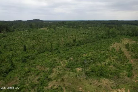 Off Highway 333, Grenada, MS 38901 photo 6