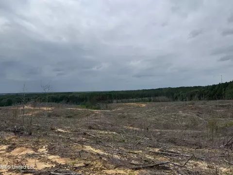 Off Highway 333, Grenada, MS 38901 photo 8