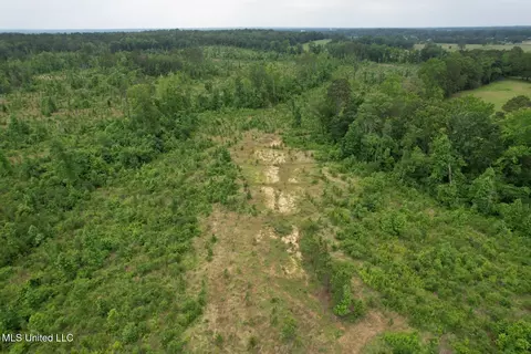 Off Highway 333, Grenada, MS 38901 photo 7