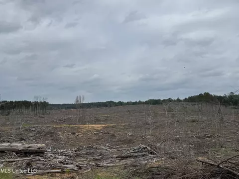 Off Highway 333, Grenada, MS 38901 photo 11