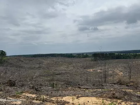 Off Highway 333, Grenada, MS 38901 photo 9