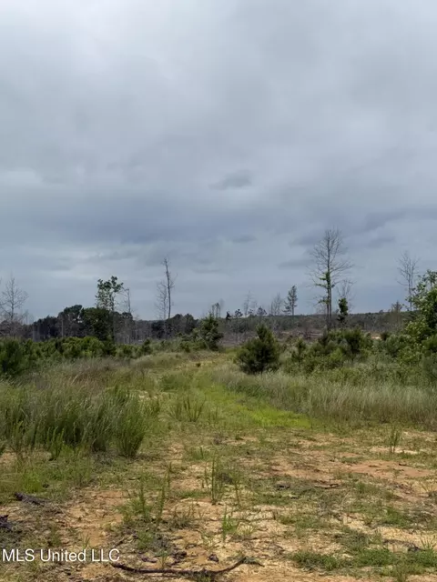 Off Highway 333, Grenada, MS 38901 photo 12