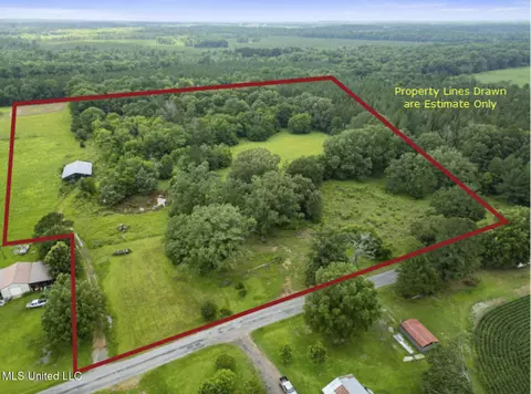 Lewis Prestage Road, Pelahatchie, MS 39145