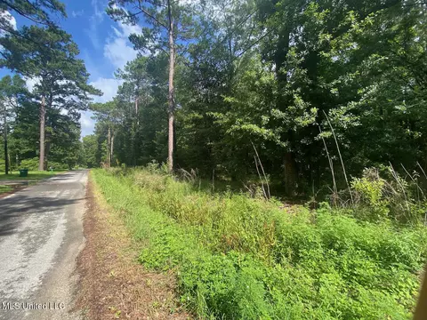 Hwy 613, Moss Point, MS 39562 photo 17