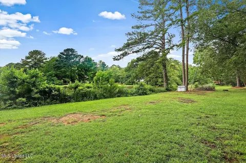 119 Easthaven Dr, Brandon, MS 39042 photo 44