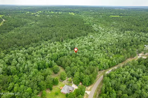lot7 Jacob Michael Dr, Perkinston, MS 39573 photo 10