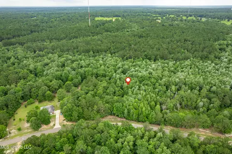lot7 Jacob Michael Dr, Perkinston, MS 39573 photo 9