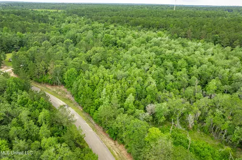 lot7 Jacob Michael Dr, Perkinston, MS 39573 photo 6