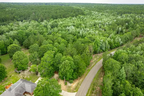 lot7 Jacob Michael Dr, Perkinston, MS 39573 photo 5