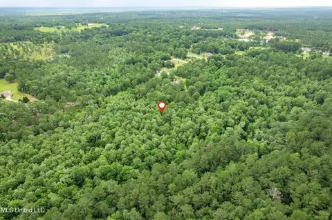 lot7 Jacob Michael Dr, Perkinston, MS 39573 photo 7