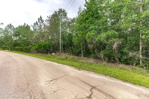lot7 Jacob Michael Dr, Perkinston, MS 39573 photo 3
