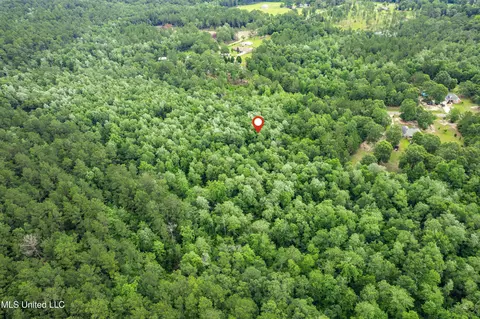 lot7 Jacob Michael Dr, Perkinston, MS 39573 photo 8