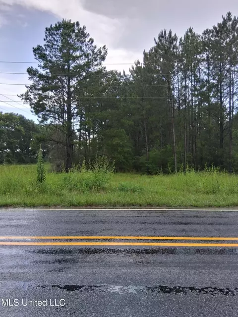00 Lavelle Ladner Rd, Lumberton, MS 39455