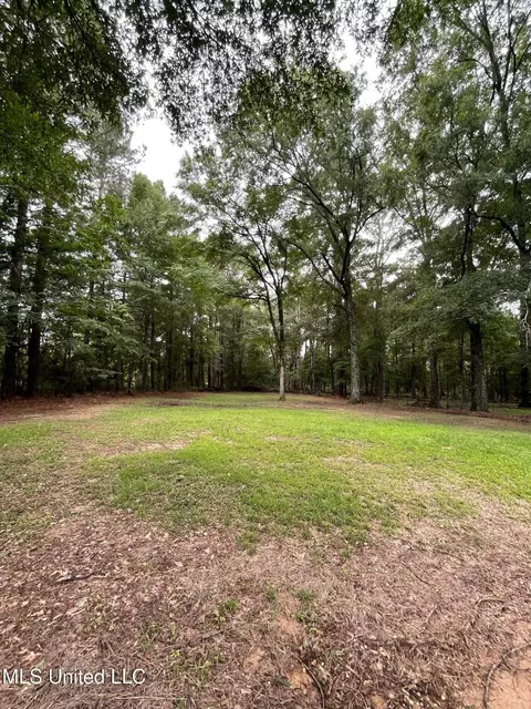 281 Thomasville Rd, Florence, MS 39073 photo 5