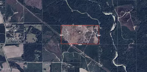 80 Ac Off Farmer Dr, Richton, MS 39476
