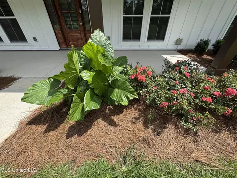 Exterior - 127 Lloyd Eubanks Rd, Lucedale, MS 39452 photo 4 of 10