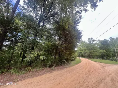 361 Ridgecrest Dr, Pope, MS 38658 photo 2
