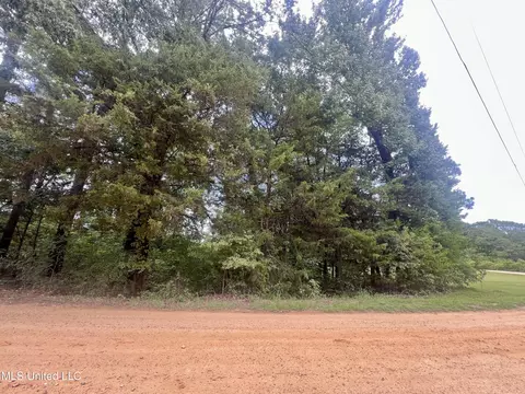361 Ridgecrest Dr, Pope, MS 38658 photo 3