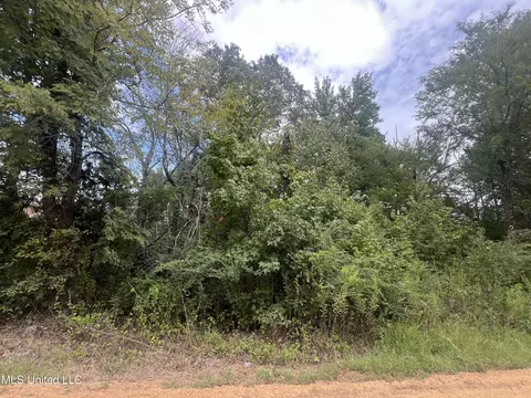 361 Ridgecrest Dr, Pope, MS 38658 photo 4