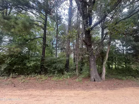 361 Ridgecrest Dr, Pope, MS 38658 photo 7