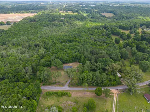 View/Area - 196 Hopper Rd, Lucedale, MS 39452 photo 3 of 4