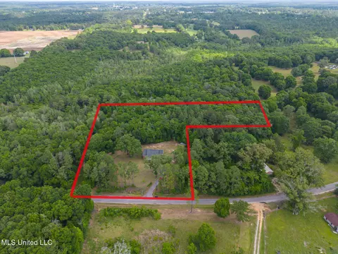 View/Area - 196 Hopper Rd, Lucedale, MS 39452 photo 4 of 4